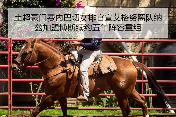 土超豪门费内巴切女排官宣艾格努离队纳兹加盟博斯续约五年阵容重组